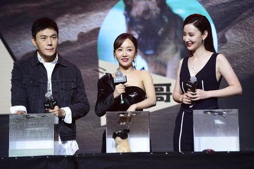 娱乐圈吃瓜汇总2022,年度吃瓜大事件盘点