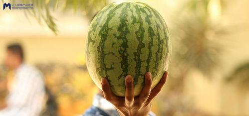 小娱乐吃瓜,揭秘娱乐圈那些不为人知的幕后故事