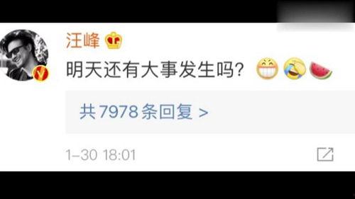 娱乐吃瓜收视率,收视率飙升背后的秘密解析